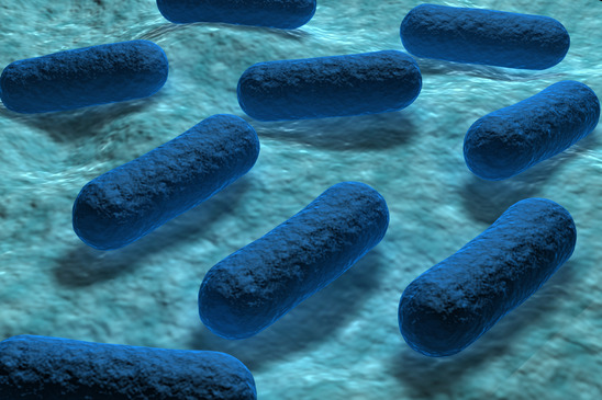 e coli water testing