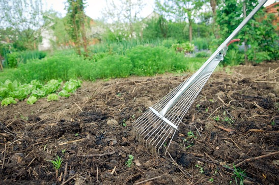 fertilization testing