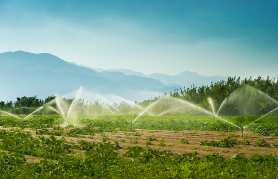 irrigation